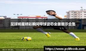 用认沽