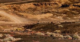 切尔西客战亚特兰大首发：内托、卢克曼出战，佩德罗先发